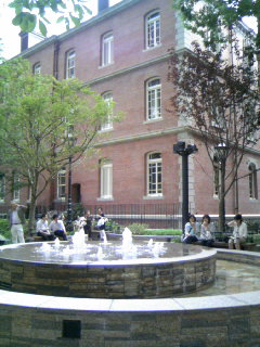 f0206316_16265352.jpg