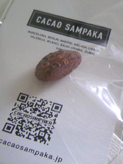 f0206316_16291614.jpg
