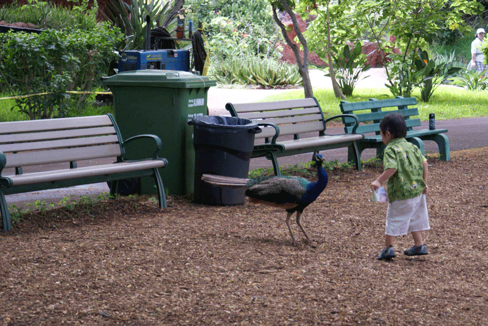 f0208017_12445621.gif