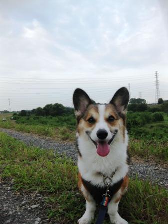 散々なトレーニングのあとで…_f0155118_10421034.jpg
