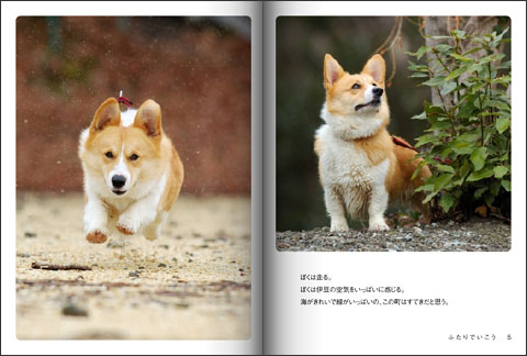 てのひらぶんこ「ふたりでいこう」_d0102523_043747.jpg