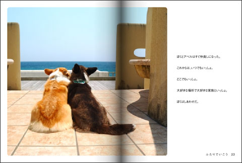 てのひらぶんこ「ふたりでいこう」_d0102523_044692.jpg