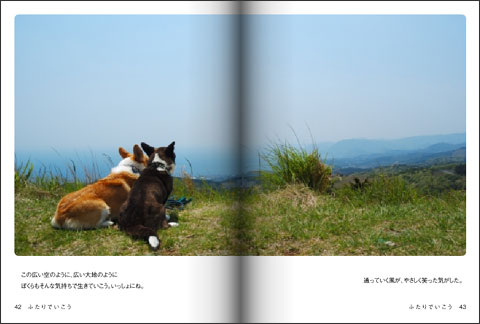 てのひらぶんこ「ふたりでいこう」_d0102523_045479.jpg