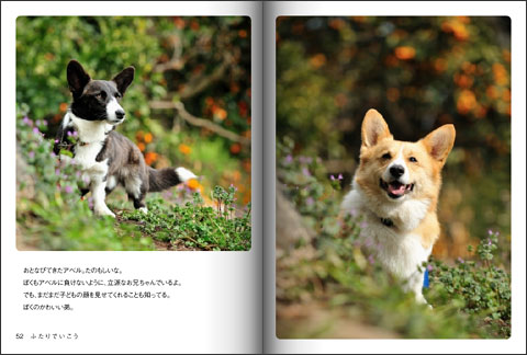 てのひらぶんこ「ふたりでいこう」_d0102523_05357.jpg