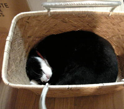 c0114024_1059328.jpg