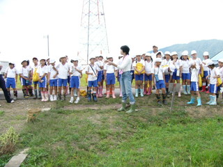 北新庄小の子供達が枝豆の収穫をしました_e0061225_10284312.jpg