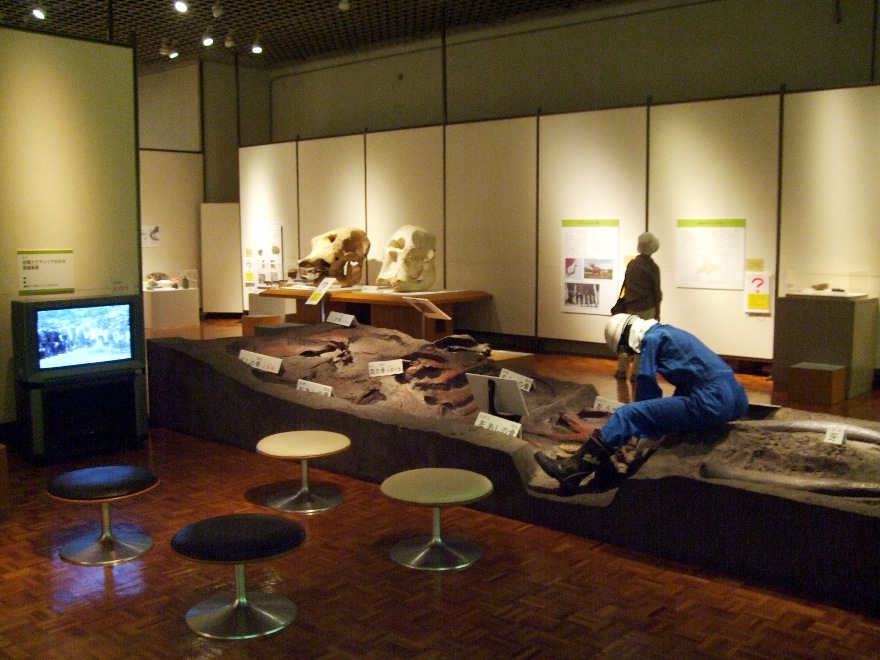 1094)　①開拓記念館　「第65回特別展　北海道象化石展！」　7月3日（金）～2009年10月4日（日）_f0126829_11481670.jpg