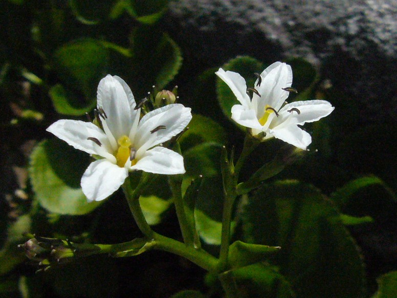 d0075131_22393355.jpg