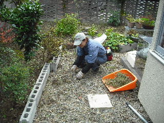 立会・立会・仕入・作業・立会・確認_f0031037_193441100.jpg