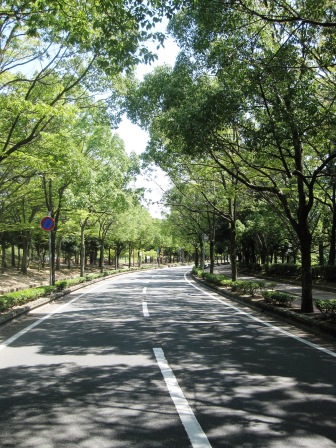 b0162442_20111520.jpg
