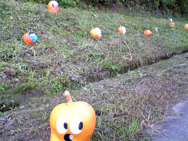 山村の片隅で_f0081443_2192992.jpg