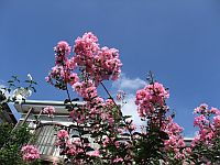 ブザー・ビート 引き裂かれた絆_e0080345_14104322.jpg
