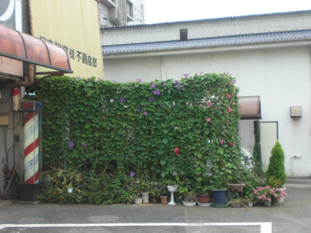 b0152548_17392012.jpg