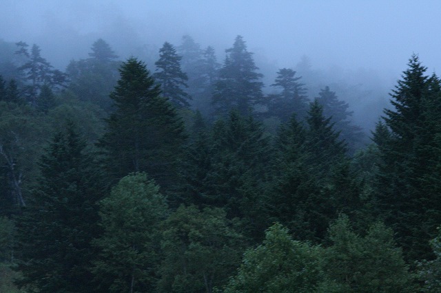 f0153450_18512818.jpg
