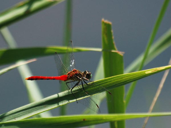 c0045352_17144557.jpg