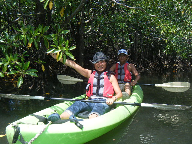 mangrove_e0134752_20381643.jpg