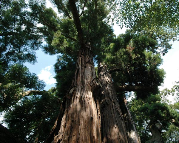 e0035757_18173715.jpg