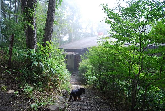 軽井沢の旅_a0101958_18572310.jpg