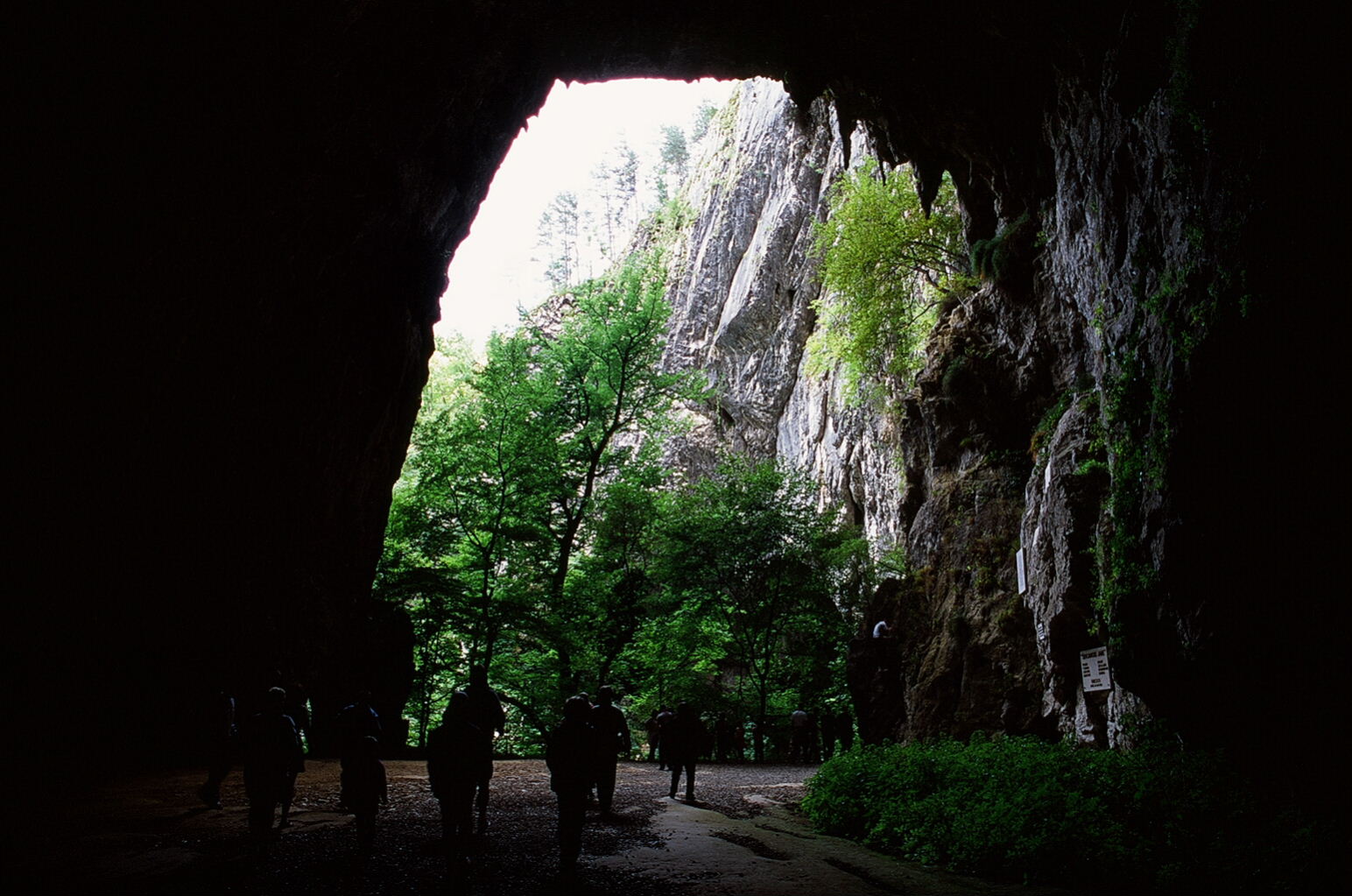 e0134658_0202948.jpg