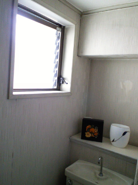『Daisy』でトイレの壁紙を貼り替えました！_c0157866_23105310.jpg