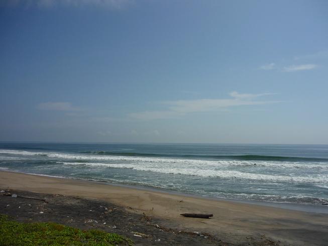 e0139167_2336377.jpg