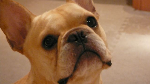 f0143269_10564043.jpg