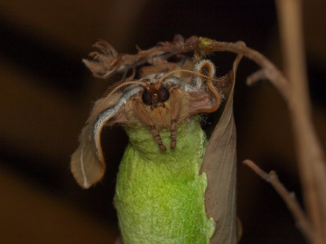 b0135573_133049.jpg
