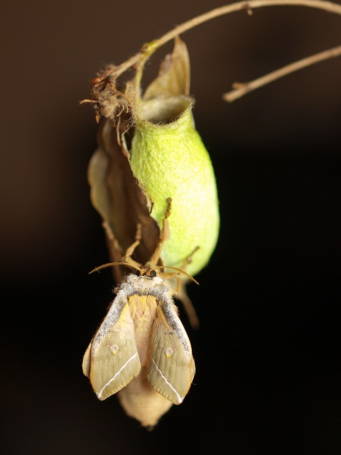 b0135573_145837.jpg