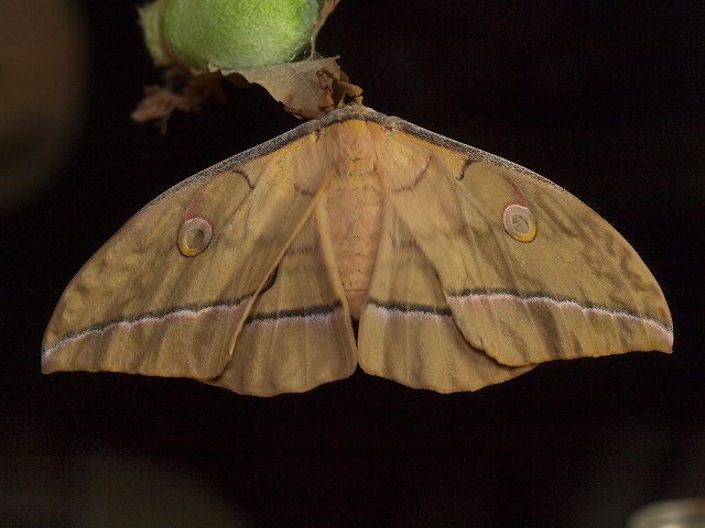 b0135573_161543.jpg