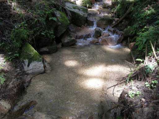 b0185573_20533011.jpg