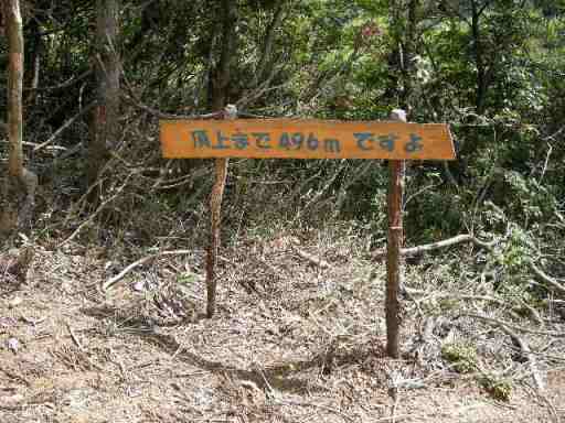 b0185573_2101814.jpg