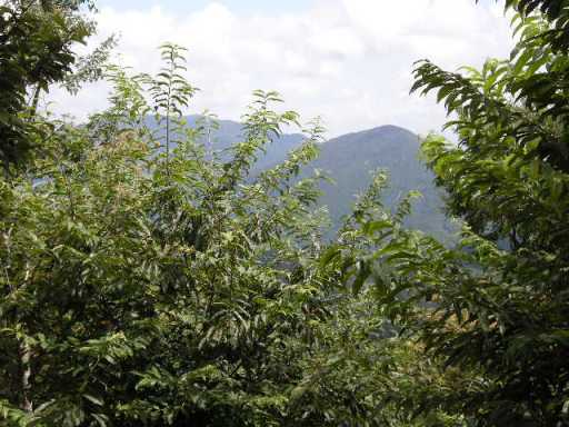 b0185573_21123729.jpg