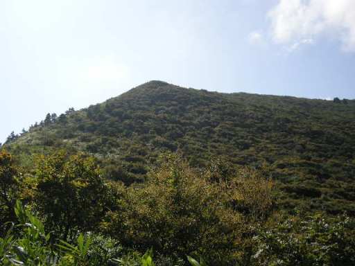b0185573_21458100.jpg