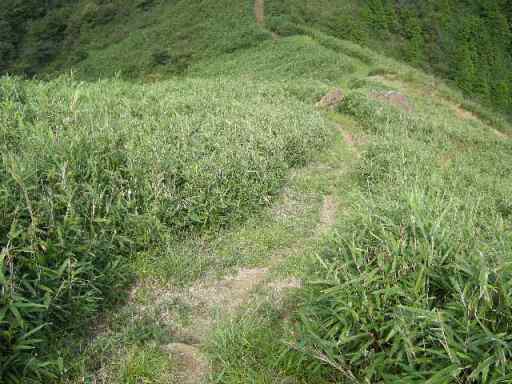 b0185573_2147955.jpg