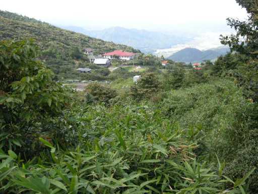 b0185573_22465791.jpg