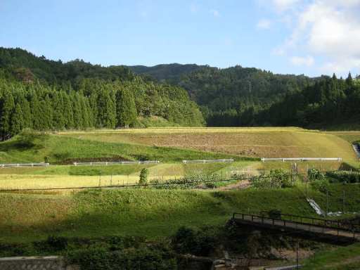 b0185573_2301253.jpg