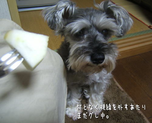 f0145575_11501035.jpg