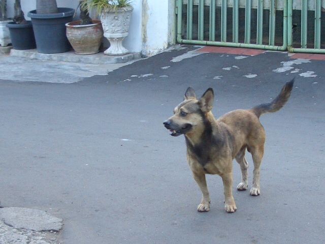 c0175883_1931515.jpg