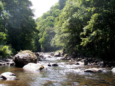 檜枝岐（キリンテ地区）探釣！！_b0178889_0134476.jpg