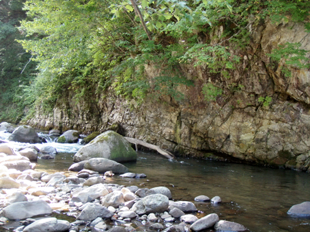 b0178889_0185535.jpg