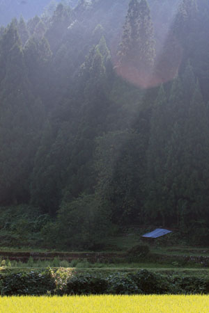 b0119190_10162100.jpg
