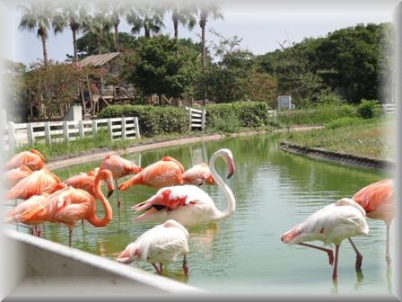 海の中道海浜公園_b0030191_9213631.jpg