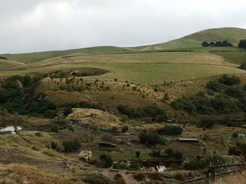 f0023791_22581353.jpg