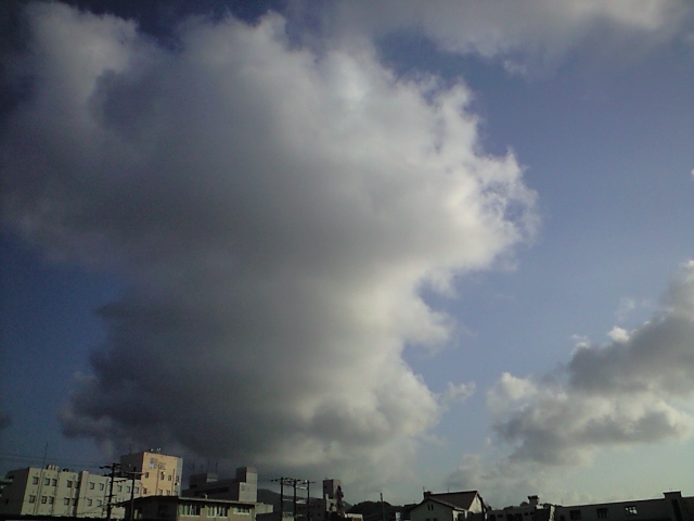 b0114392_1625450.jpg