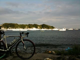 d0010496_2083130.jpg