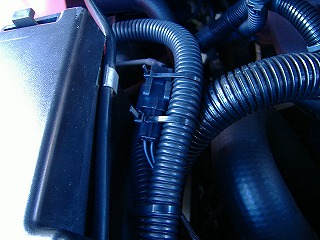 c0107997_0175737.jpg