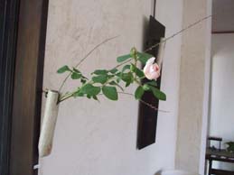 e0187897_172187.jpg
