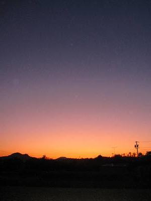 b0028598_19271529.jpg