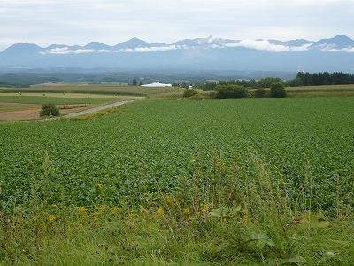 a0123003_16314412.jpg