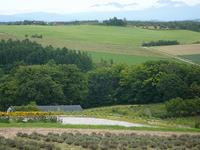 a0123003_1631662.jpg